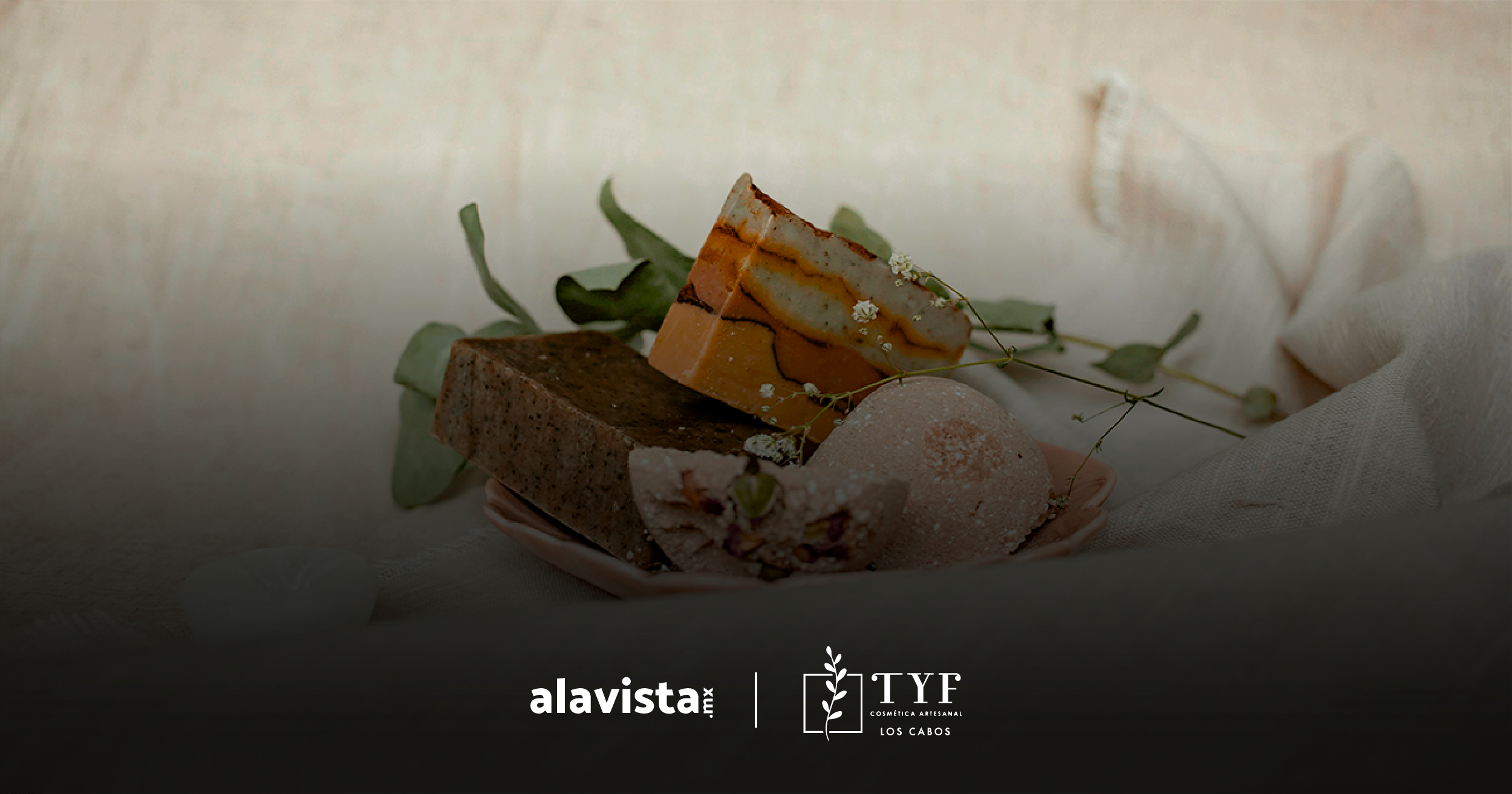alavista.mx Inicio